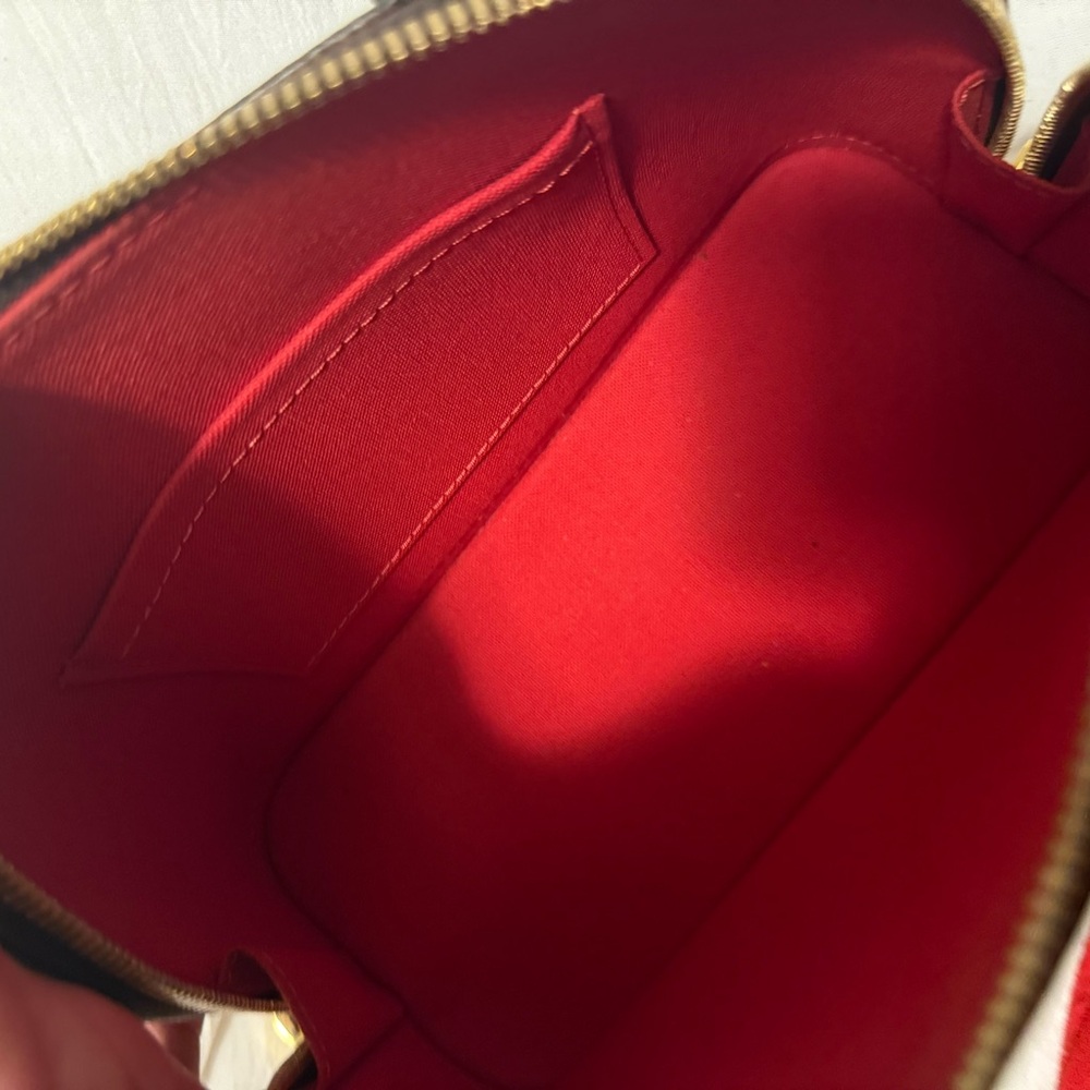 Louis Vuitton Brown Mini Bag - Picture 4 of 13